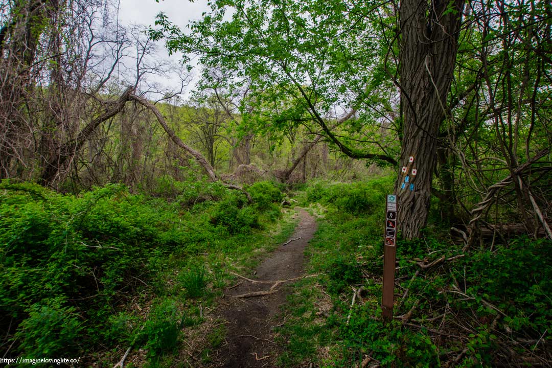 Red And Blue Trail